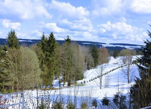 Schnee bedeckte Landschaft mit Bäumen und blauem Himmel.