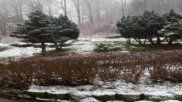 House | View from property