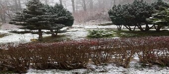 Ski- und Wanderurlaub im Wald Ferienhaus Adlerblick