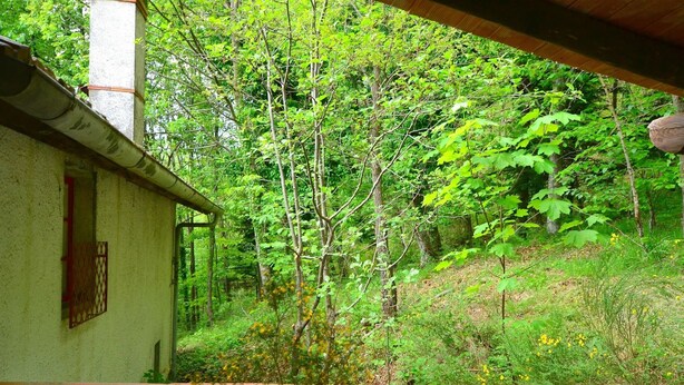 A room with a view of a forested area through a window, a table with two yellow vases, and a red bench. - Peaceful Retreat With Shared Pool (San Marcello Piteglio)