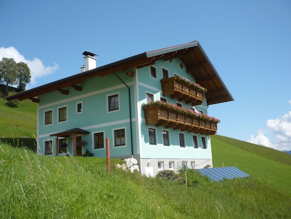 Exterior - Dreamy Apartment in Wagrain Surrounded by Mountains (Wagrain)