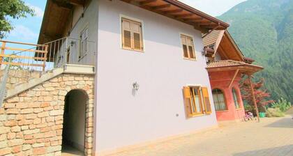 Holiday Home in Caldes Near Ski Lift