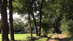 A rural dirt path surrounded by trees and a house with a red roof in the background. - Family Residence With Large Garden (Heino)