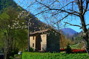 Exterior - Dreamy Cottage in Trebbio With Swimming Pool (Pescaglia)