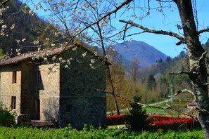 Un bâtiment en pierre doté d’un toit en pente, entouré d’une végétation luxuriante et avec une chaîne de montagnes en arrière-plan.