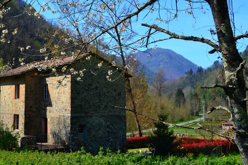 Dreamy Cottage in Trebbio With Swimming Pool