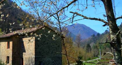 Dreamy Cottage in Trebbio With Swimming Pool