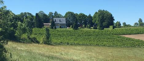 Apartment | Miscellaneous