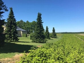 Apartment | View from property