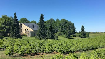 Apartemen | Eksterior