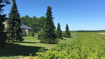 Apartment | Pemandangan dari hartanah