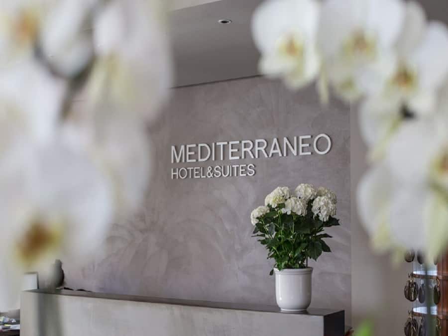 A reception desk with a sign reading "Mediterraneo Hotel & Suites" and a potted plant with white flowers.