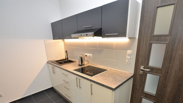 A modern kitchen with a sink, toaster, and cabinets. - Quaint Holiday Home in Železná Ruda near Ski Area (Zelezna Ruda)