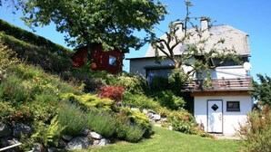 A hillside property with a small house, lush garden, and a red building in the background. - Holiday Home in Willingen Near Ski Area (Willingen)