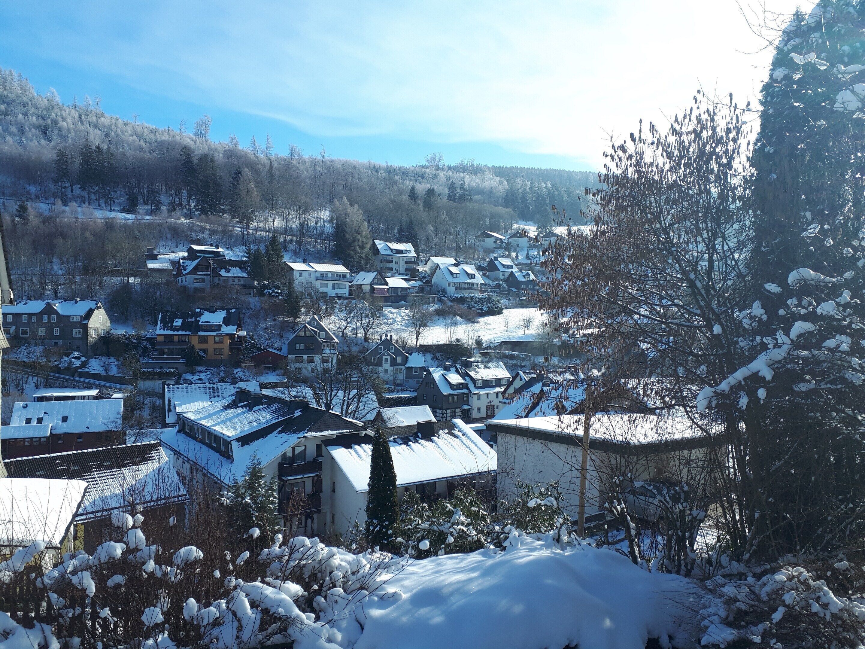 A snow-covered residential area with houses and trees.