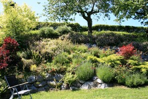 House | Garden - Holiday Home in Willingen Near Ski Area (Willingen)