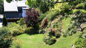 A residential garden with a variety of plants and shrubs, a lawn, and a house with a sloped roof. - Holiday Home in Willingen Near Ski Area (Willingen)