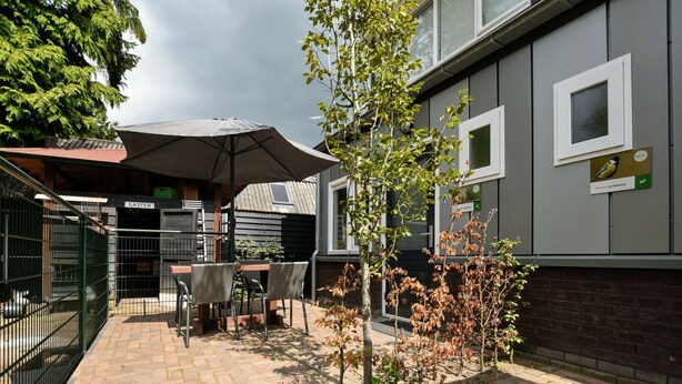 House | Balcony - Ravishing Holiday Home in Hulshorst near Forest (Hulshorst)