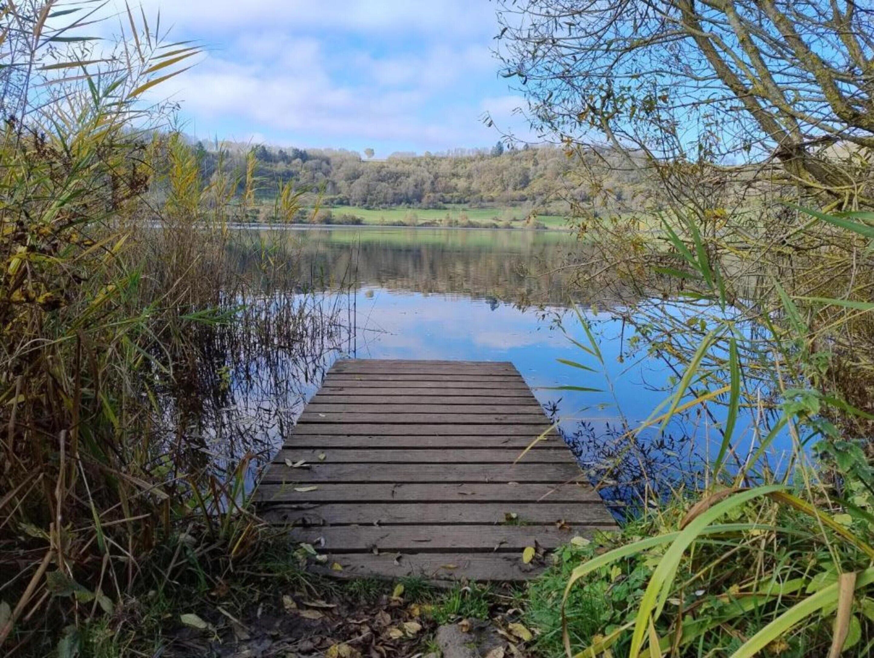 Un muelle de madera se adentra en un lago tranquilo, rodeado de vegetación densa y una línea de árboles en la distancia.