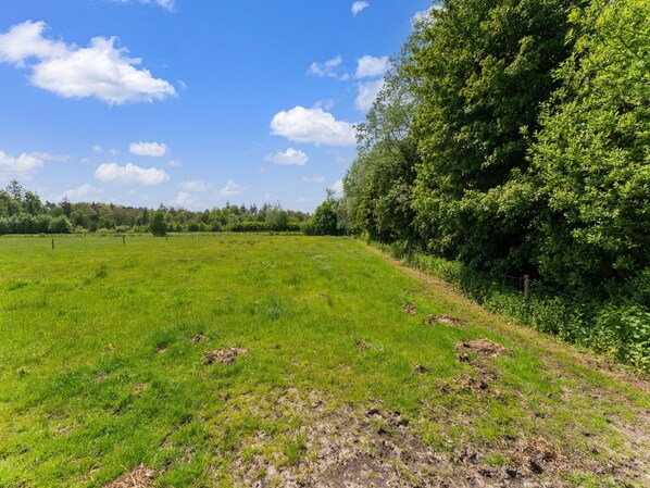 A grassy field with a fence and trees in the background. - Cottage in Dwingelderveld With Scenic Views (Beilen)
