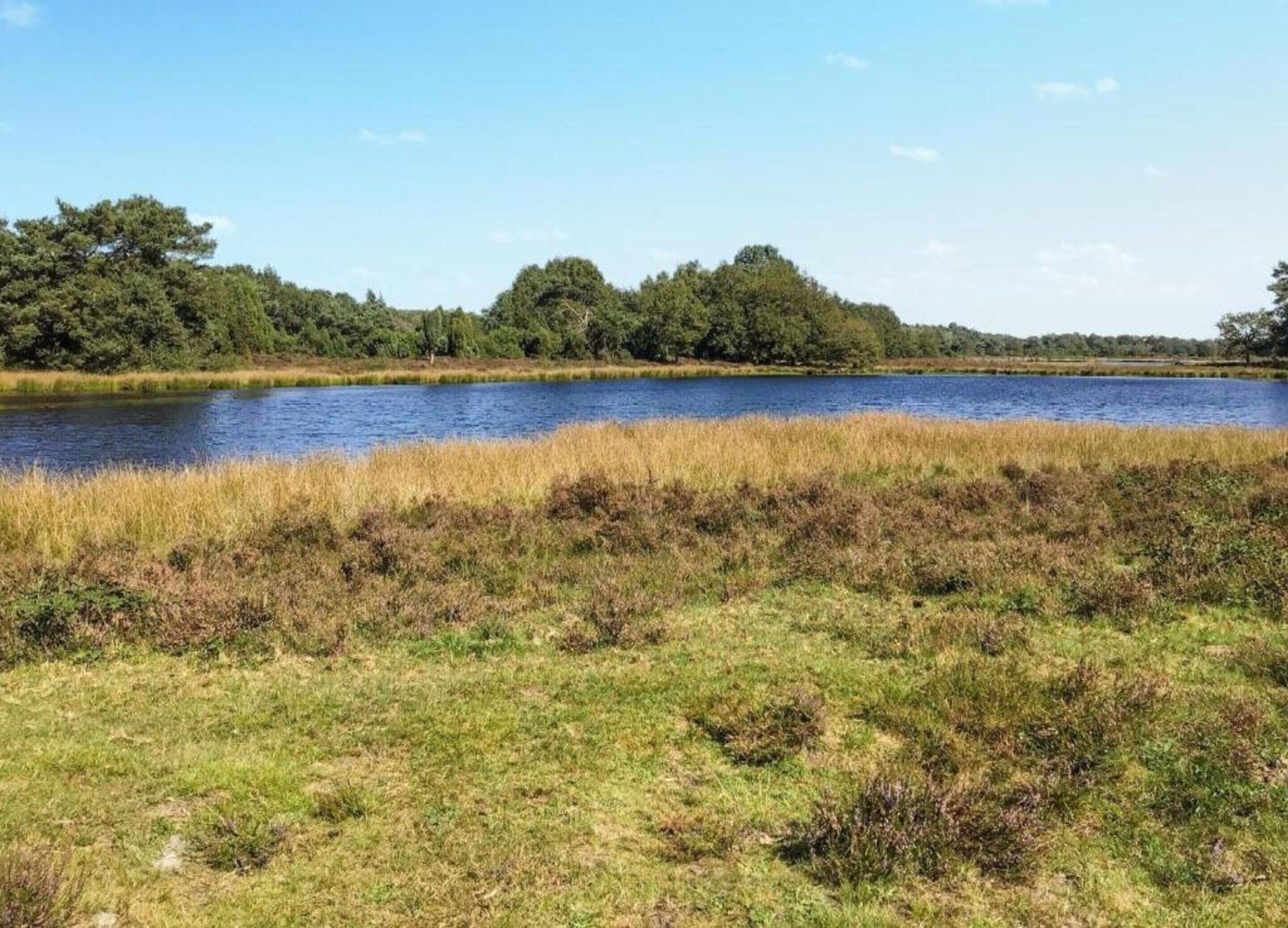 A natural landscape with a body of water, grassy areas, and trees in the background.