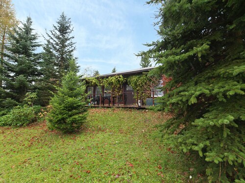 Luxury Cottage in Grünbach Saxony near Lake