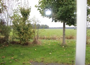 House | View from property