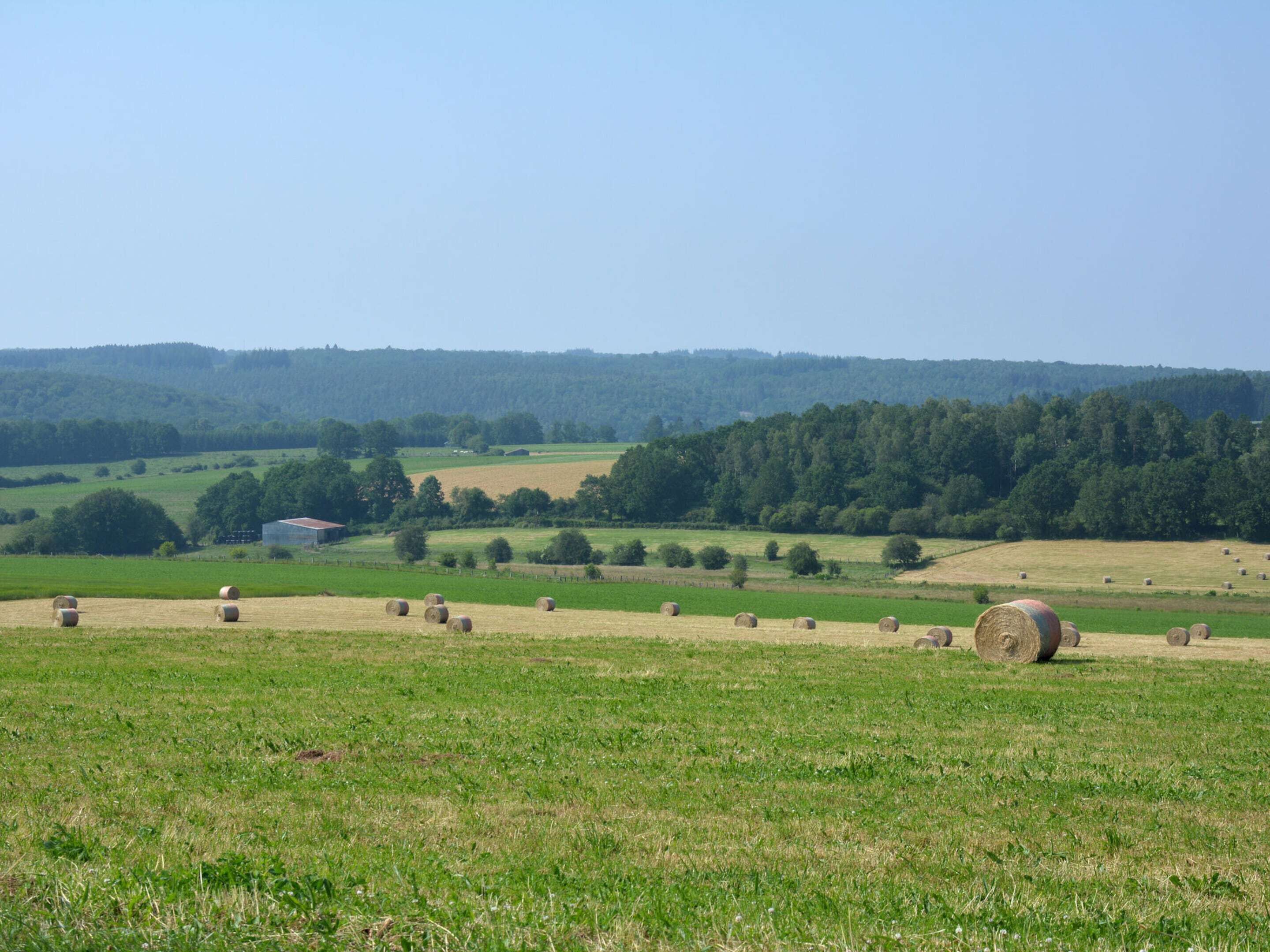 A rural landscape with hay bales scattered across fields, a barn, and a forested hill in the background.