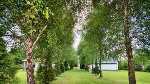 Un jardin bien entretenu, agrémenté de divers arbres et arbustes, avec un chemin bien défini et un petit bâtiment visible au loin.