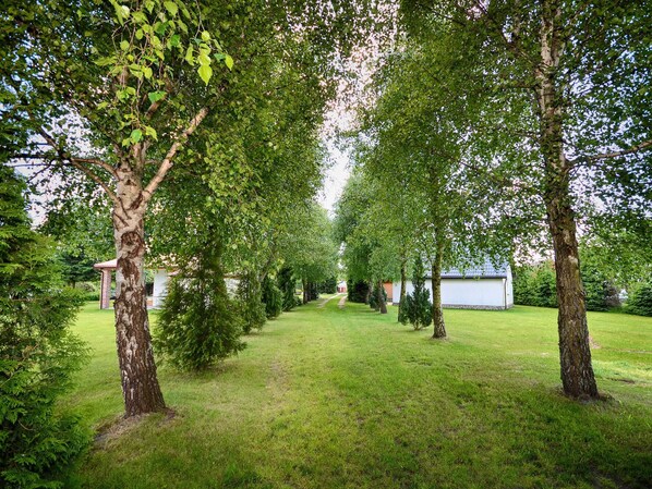 House | View from property