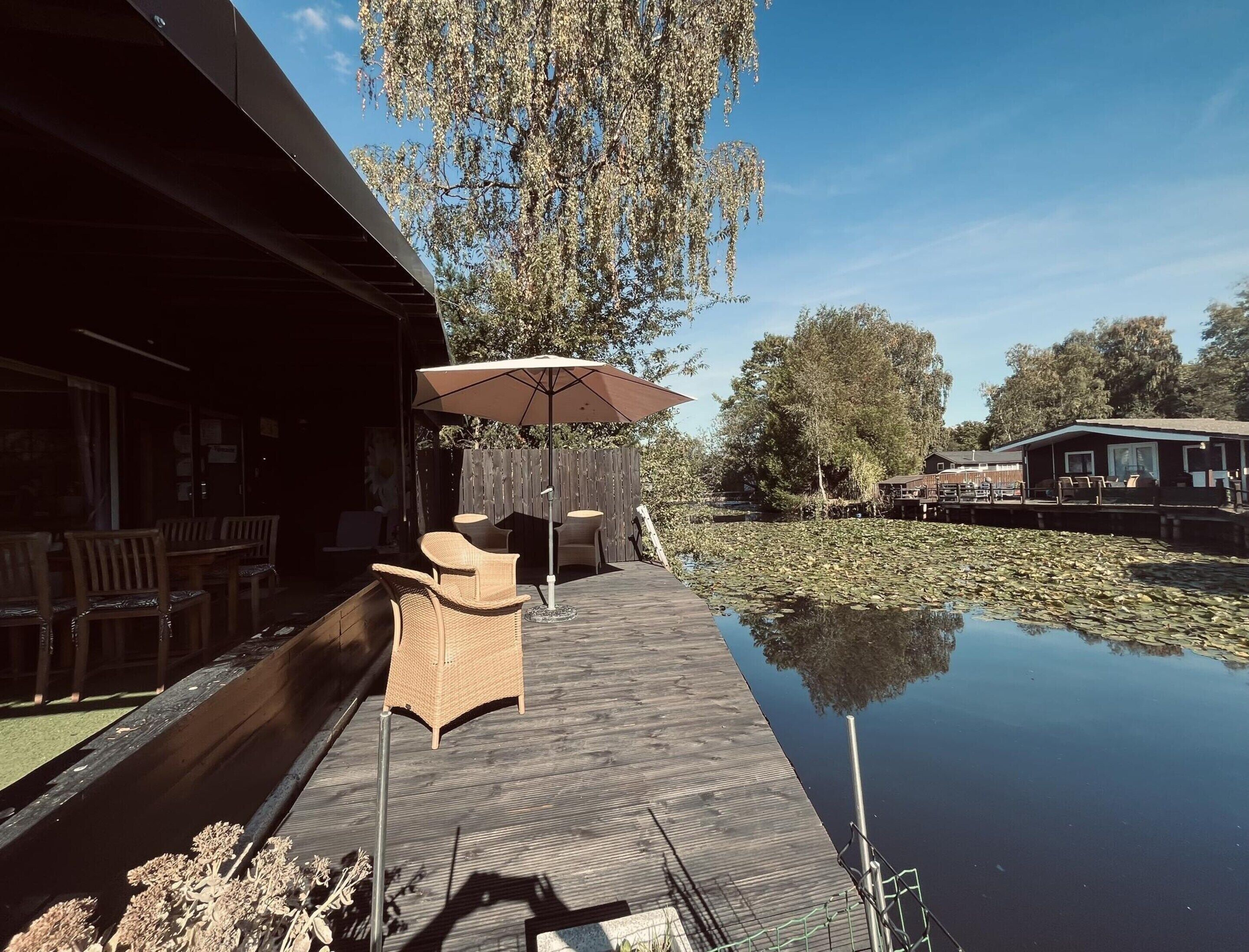 House | View from property