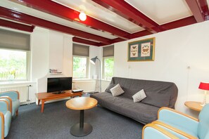 House | Living room | DVD player - Quaint Farmhouse in Waskemeer near Forest (Waskemeer)