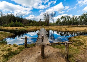 House | View from property - Quaint Farmhouse in Waskemeer near Forest (Waskemeer)