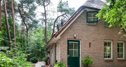 Holiday Home in Beerze Near Forest