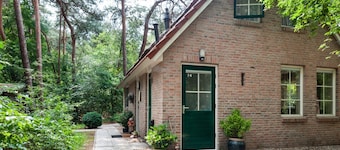 Holiday Home in Beerze Near Forest