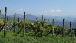 Exterior - Holiday Home in Camporgiano With Garden, Bbq, Swimming Pool (Camporgiano)