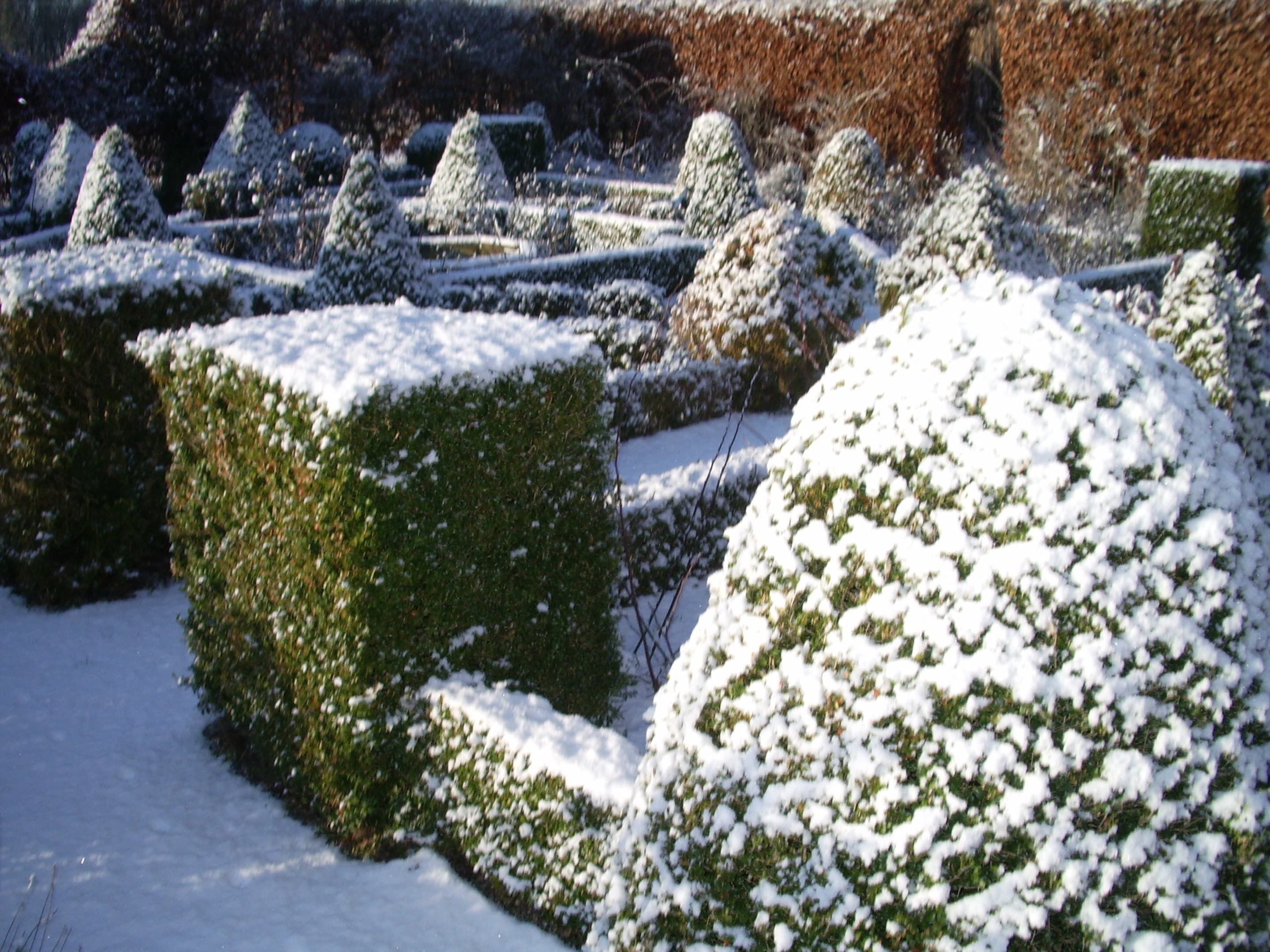 House | Garden