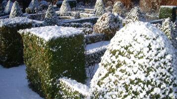 House | Garden