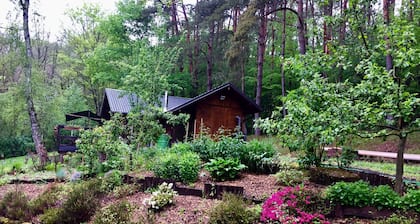 Chalet Near Bitche With Private Sauna