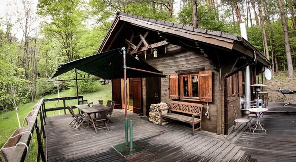Chalet Near Bitche With Private Sauna - Schwarzwald