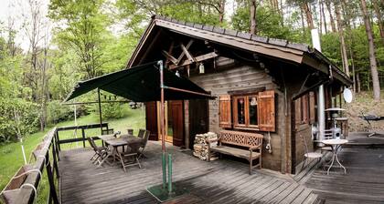 Chalet Near Bitche With Private Sauna