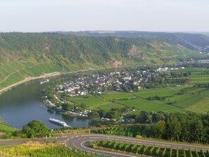 Exterior - Stylish Holiday Home in Bernkastel-Kues Germany near Forest (Bernkastel-Kues)