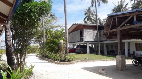Property grounds - Rainbow Bay Beach and Dive Resort (Siquijor)