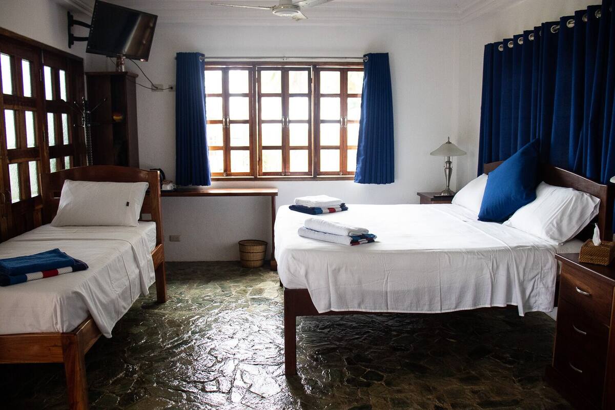 Une chambre avec deux lits simples, un bureau en bois, une télévision et une fenêtre avec des rideaux.