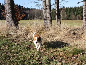 Aussenbereich