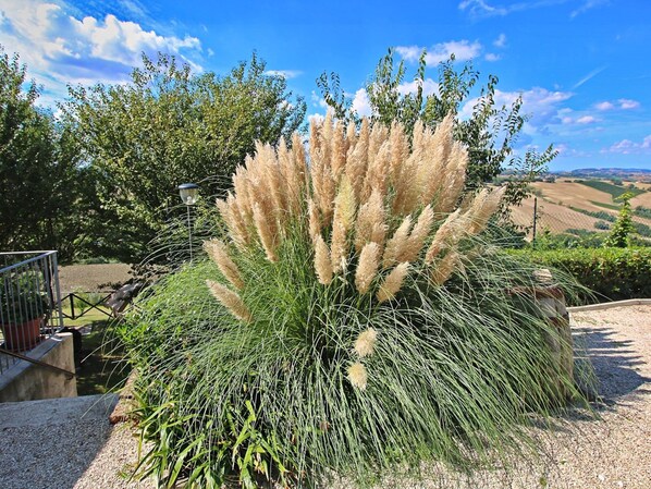 Exterior - Apartment in Piticchio With Pool and BBQ (Arcevia)