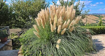 Apartment in Piticchio With Pool and BBQ