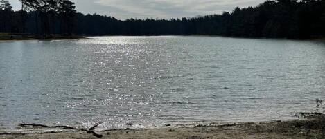 Ferienhaus | Blick von der Unterkunft