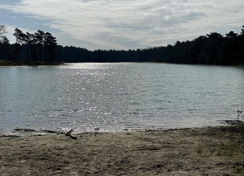 Holiday Home with Meadow View near Forests