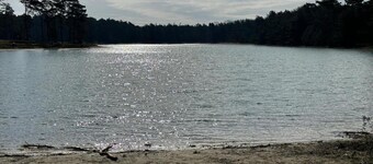Holiday Home with Meadow View near Forests